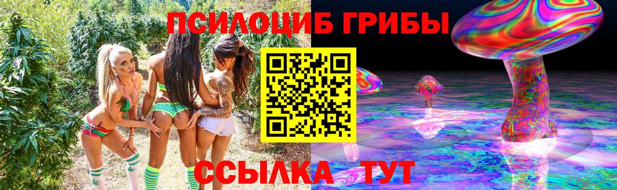 Галлюциногенные грибы мицелий  Вход с VPN  Егорьевск 
